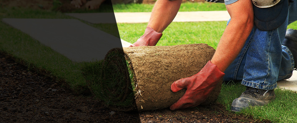 New Britain Landscapers